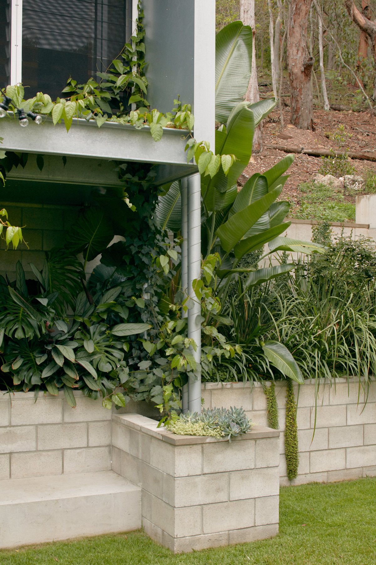 YinjiSpace Nielsen Jenkins x Mt CootTha House